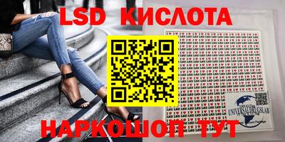 прущие крисы Кингисепп