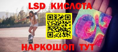 прущие крисы Кингисепп
