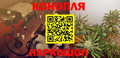 прущие крисы Кингисепп